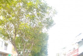 Bán Nhà Khuông Việt - HXH 8m Kinh Doanh - 4 tầng Ngay Đầm Sen